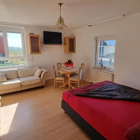 Apartment Linda - Gemuetliche In Direkter Bodenseenaehe *